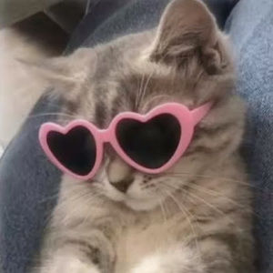 Meet your Posher, Monnique